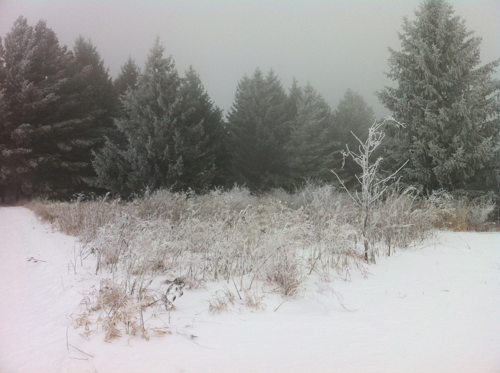 Hoar frost at Blue Mounds State Park last winter